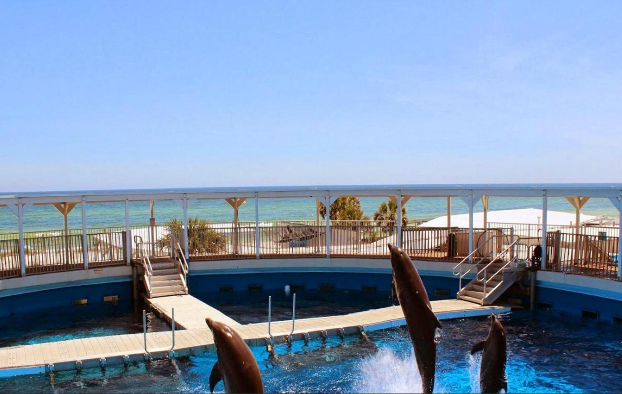 פורט וולטון ביץ' Island Sands 206 מראה חיצוני תמונה